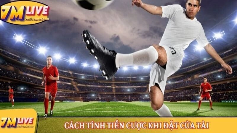 Kèo tài xỉu 2-2.5 là gì? Cách đọc chuẩn và ví dụ cụ thể 9 Cách tính tiền cược khi đặt cửa Tài