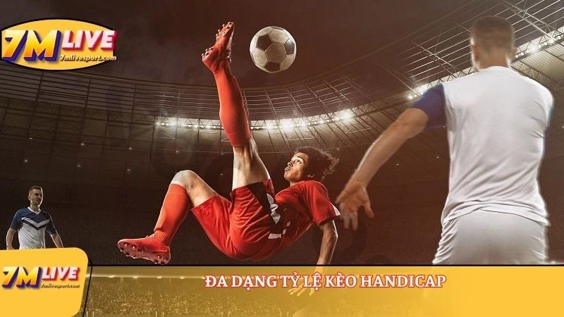 Kèo Handicap là gì? Hiểu như thế nào là đúng về kèo này? 8 Đa dạng tỷ lệ kèo handicap