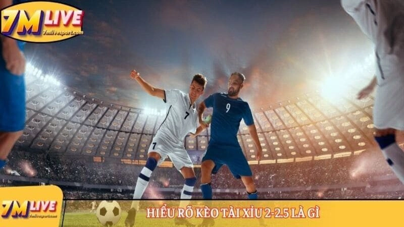 Kèo tài xỉu 2-2.5 là gì? Cách đọc chuẩn và ví dụ cụ thể 7 Hiểu rõ kèo tài xỉu 2-2.5 là gì