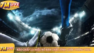 Kèo chấp 2.5: Hiểu rõ bản chất, tính cược thắng thua 15 Kèo chấp 2.5