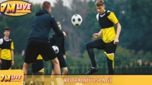 Kèo tài xỉu 1.5 là gì - Khám phá những kiến thức chuẩn nhất 8 Kèo tài xỉu 1.5 là gì