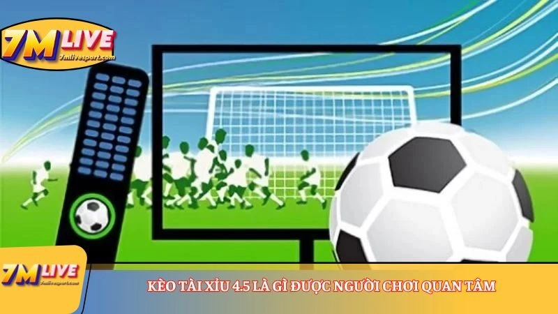 Kèo Tài Xỉu 4.5 là gì? Xem ví dụ và tìm hiểu cách tính tiền 7 Kèo Tài Xỉu 4.5 là gì được người chơi quan tâm