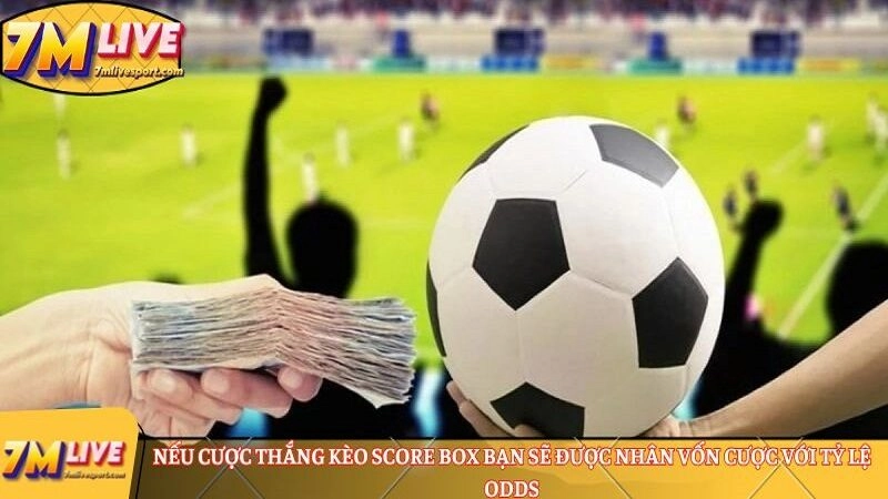 Nếu cược thắng kèo score box 