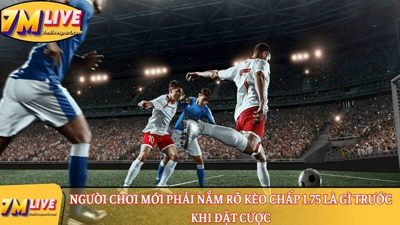 Kèo chấp 1.75 là gì? Đọc kèo ra sao? Tính tiền thế nào? 7 kèo chấp 1.75 là gì