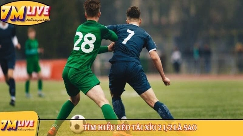 Kèo tài xỉu 2 1/2 là sao? Thông tin chi tiết về tỷ lệ cược 7 Tìm hiểu kèo tài xỉu 2 1/2 là sao