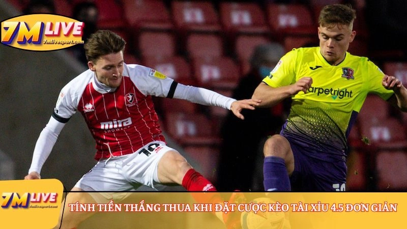 Kèo Tài Xỉu 4.5 là gì? Xem ví dụ và tìm hiểu cách tính tiền 9 Tính tiền thắng và thua khi đặt cược kèo Tài Xỉu 4.5 đơn giản